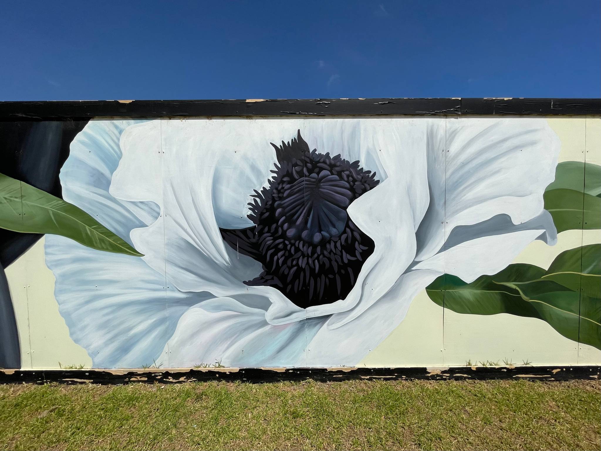 Amanda Newman&mdash;Woodlea Remembrance Day Mural 