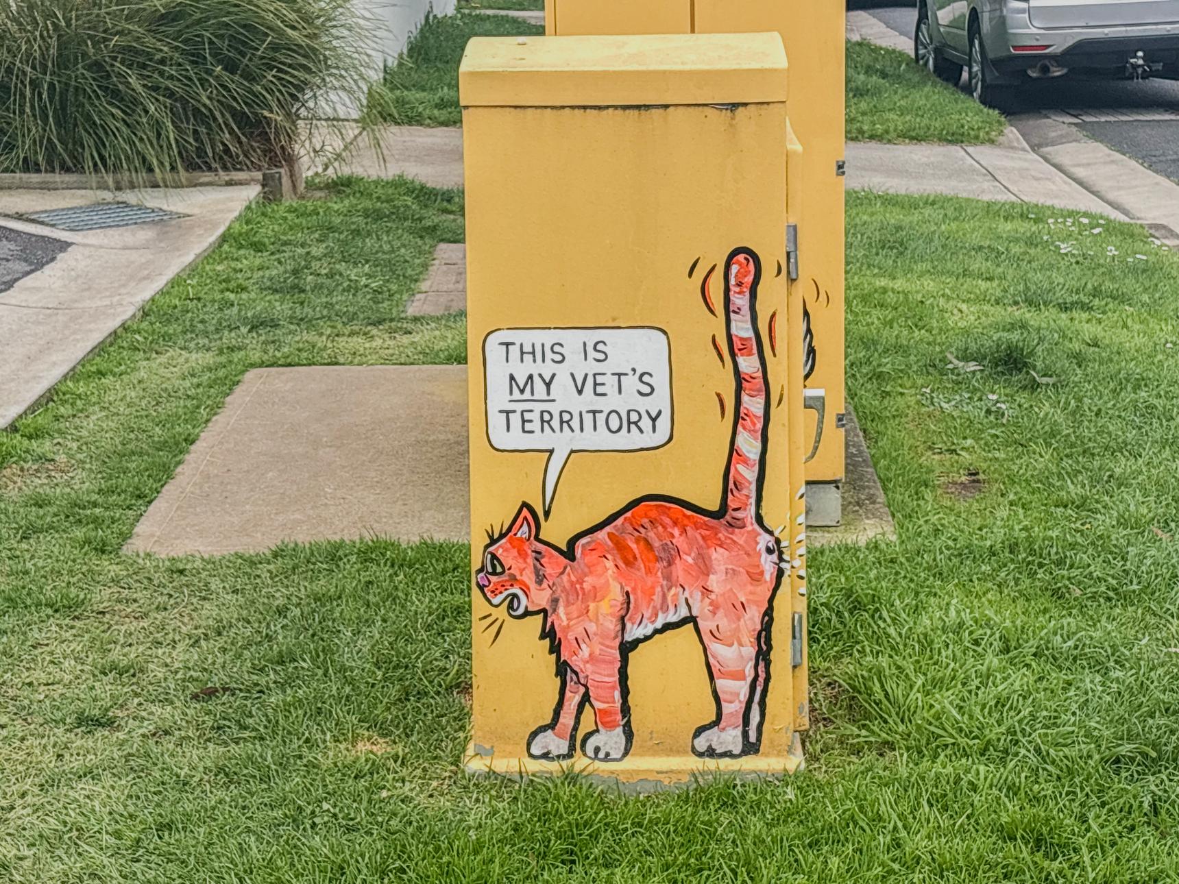 Unknown - Geelong—undefined