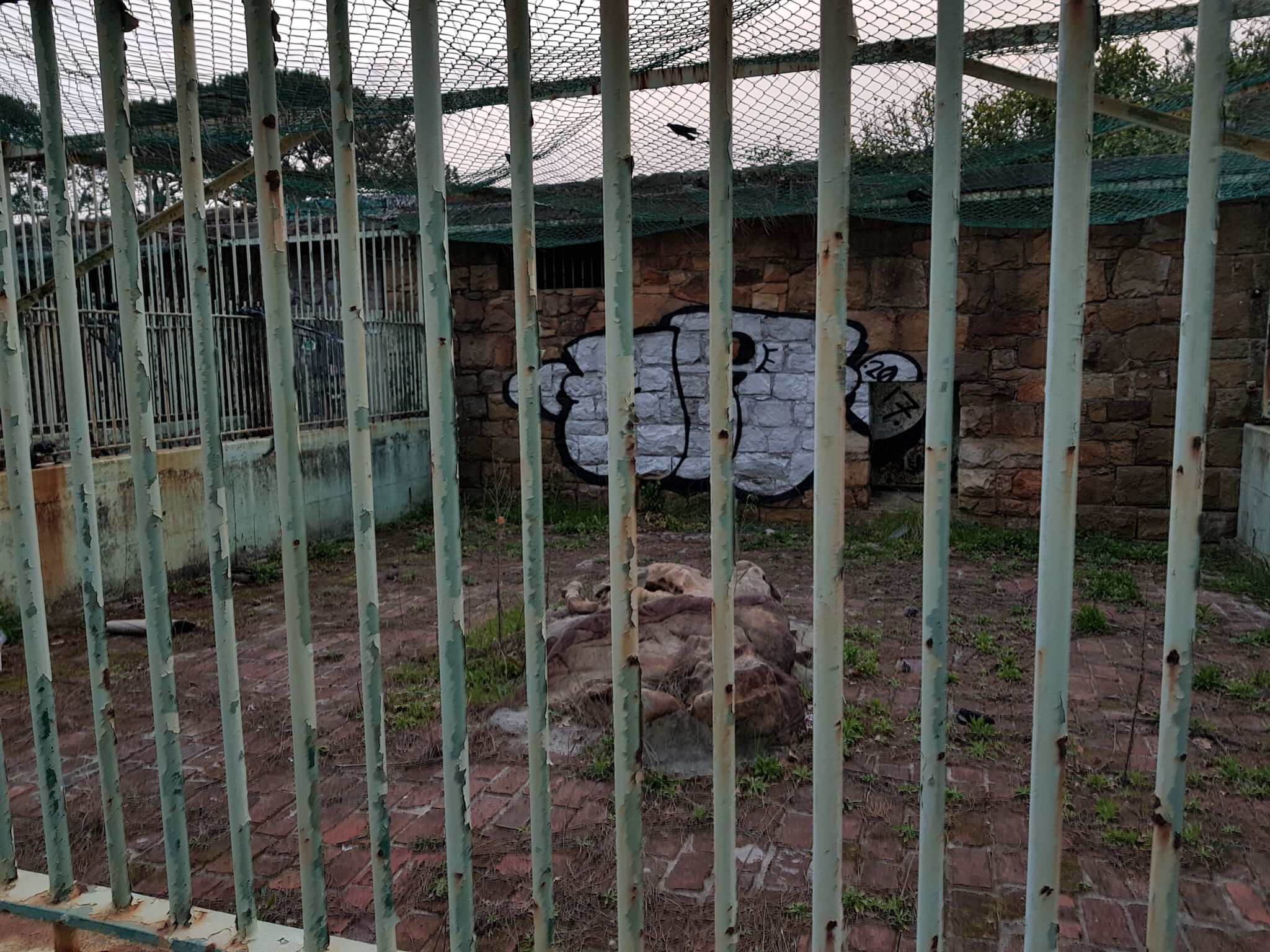 Unknown - Cape Town&mdash;Newlands Forest Abandoned Zoo