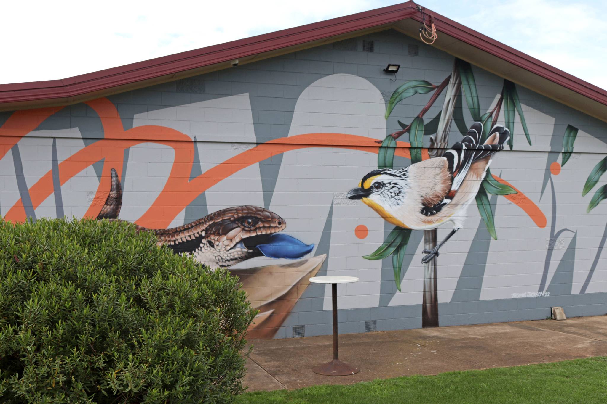 Thomas Jackson&mdash;Blue Tongue Lizard and Striated Pardalote