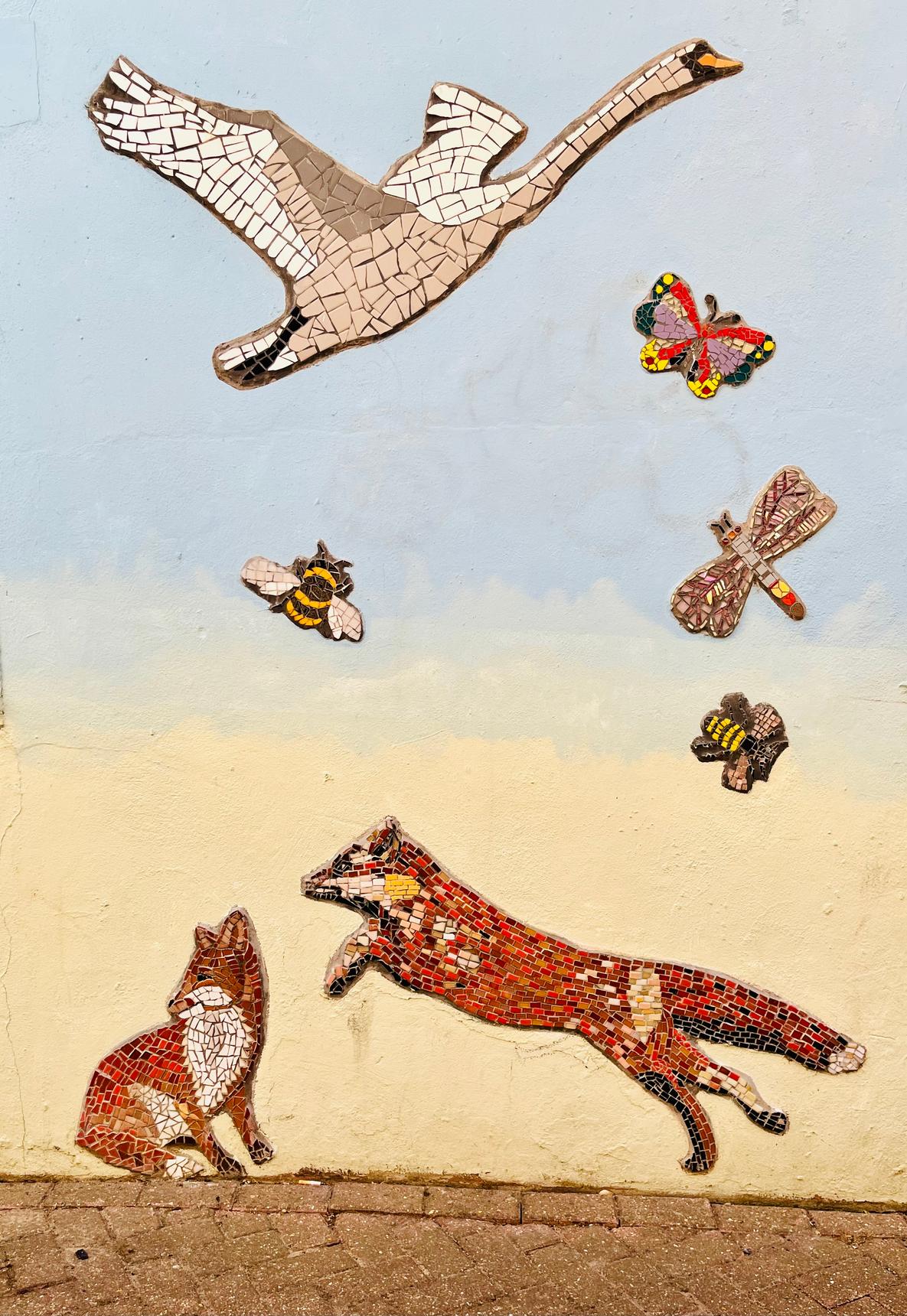 Save The World Club—Wildlife of Kingston