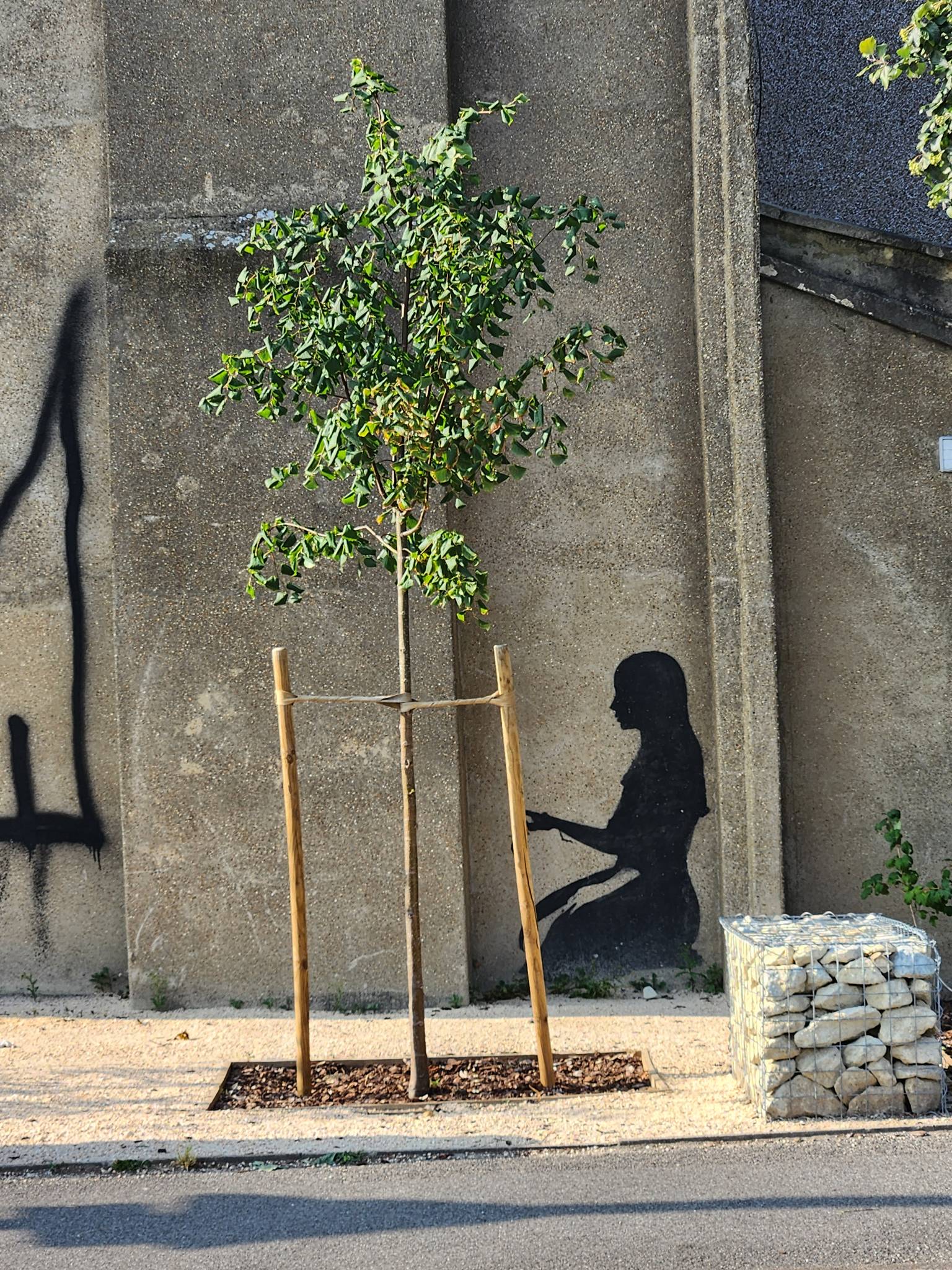 Unknown - London&mdash;Woman Tending to Tree