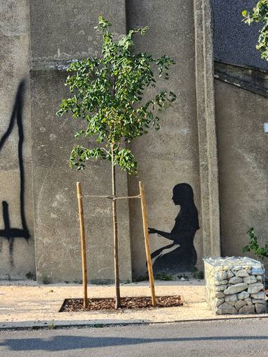 Woman Tending to Tree