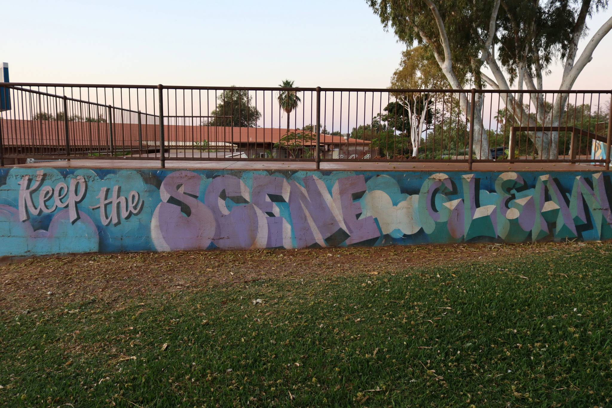 George Domahidy&mdash;Dampier Skate Park