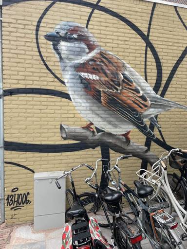 Birds Robin & Sparrow