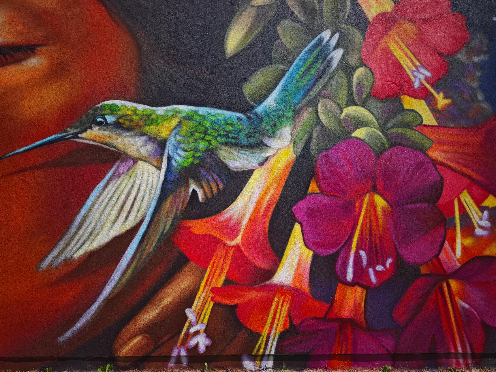 La Fefa Cox—Festival International Des Arts Urbains De Laon #5