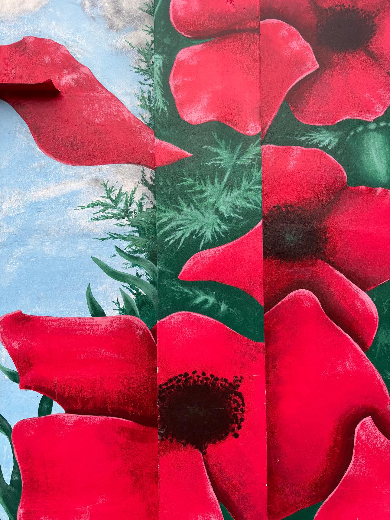 Sam Fenton—undefined