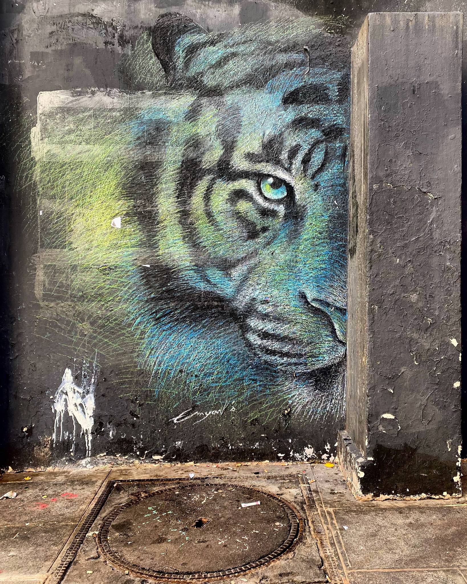 Emyarts&mdash;Half Tiger