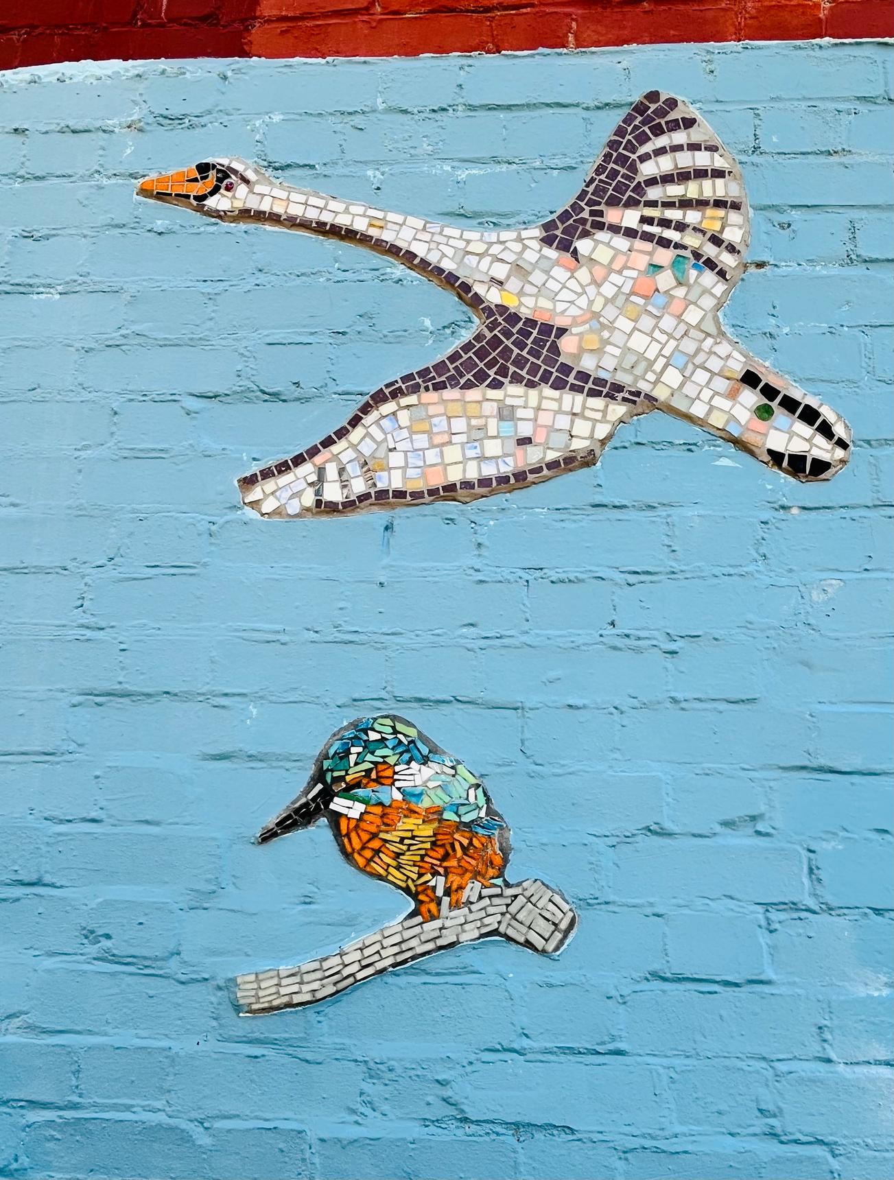 Save The World Club—Wildlife of Kingston