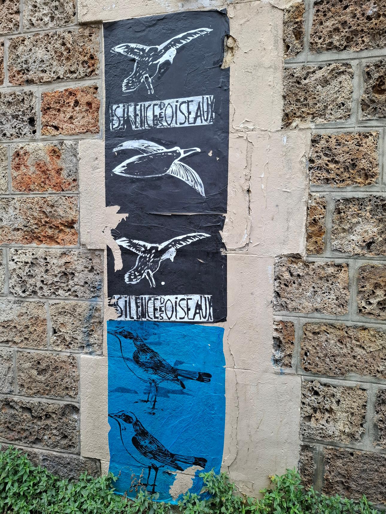 Patrick Pinon—Le Silence Des Oiseaux