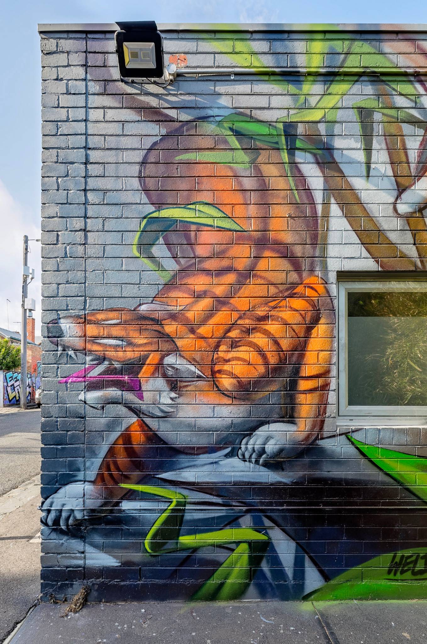 Welin&mdash;Fitzroy Veterinary Clinic