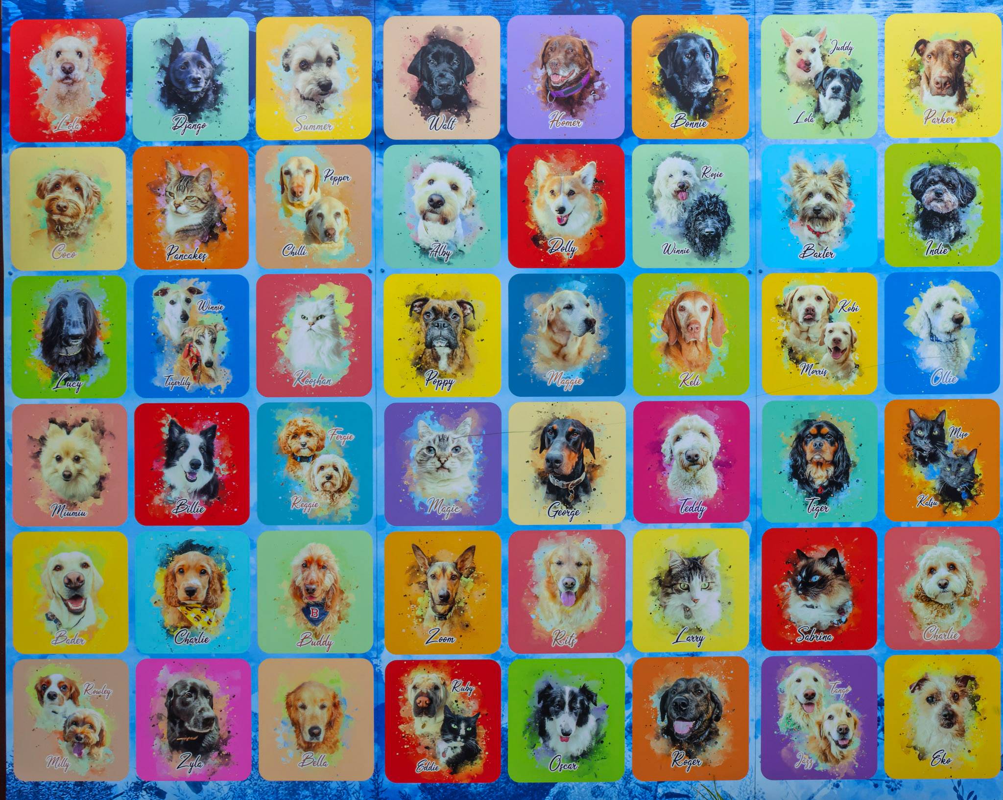 Warren Fox&mdash;Beaumaris Pet Wall