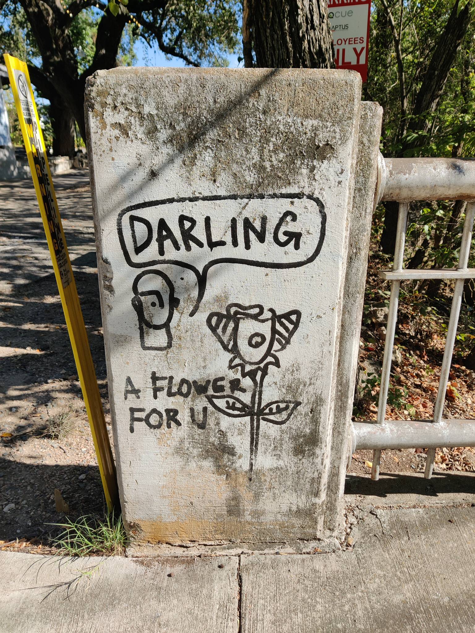 Unknown - Austin&mdash;Darling, A Flower for U