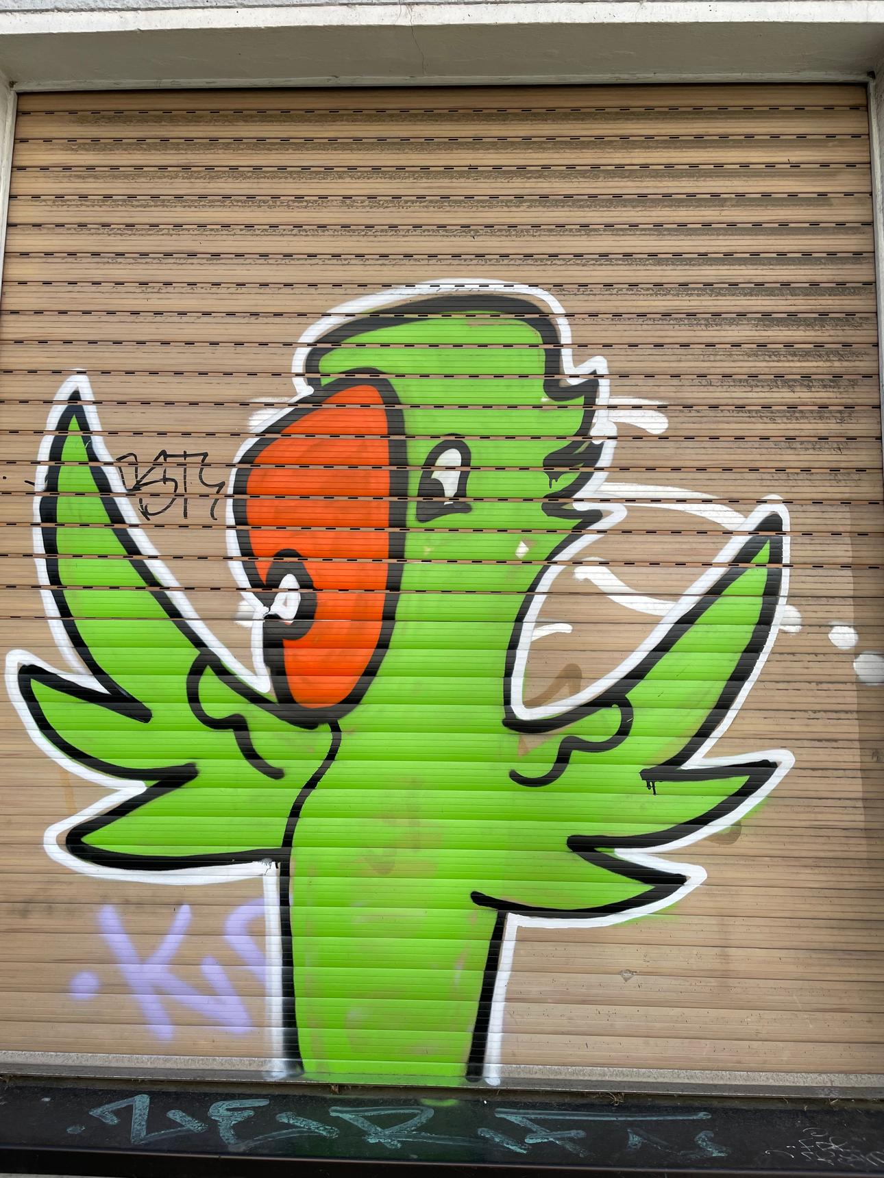 Unknown - Cologne—Green parrot