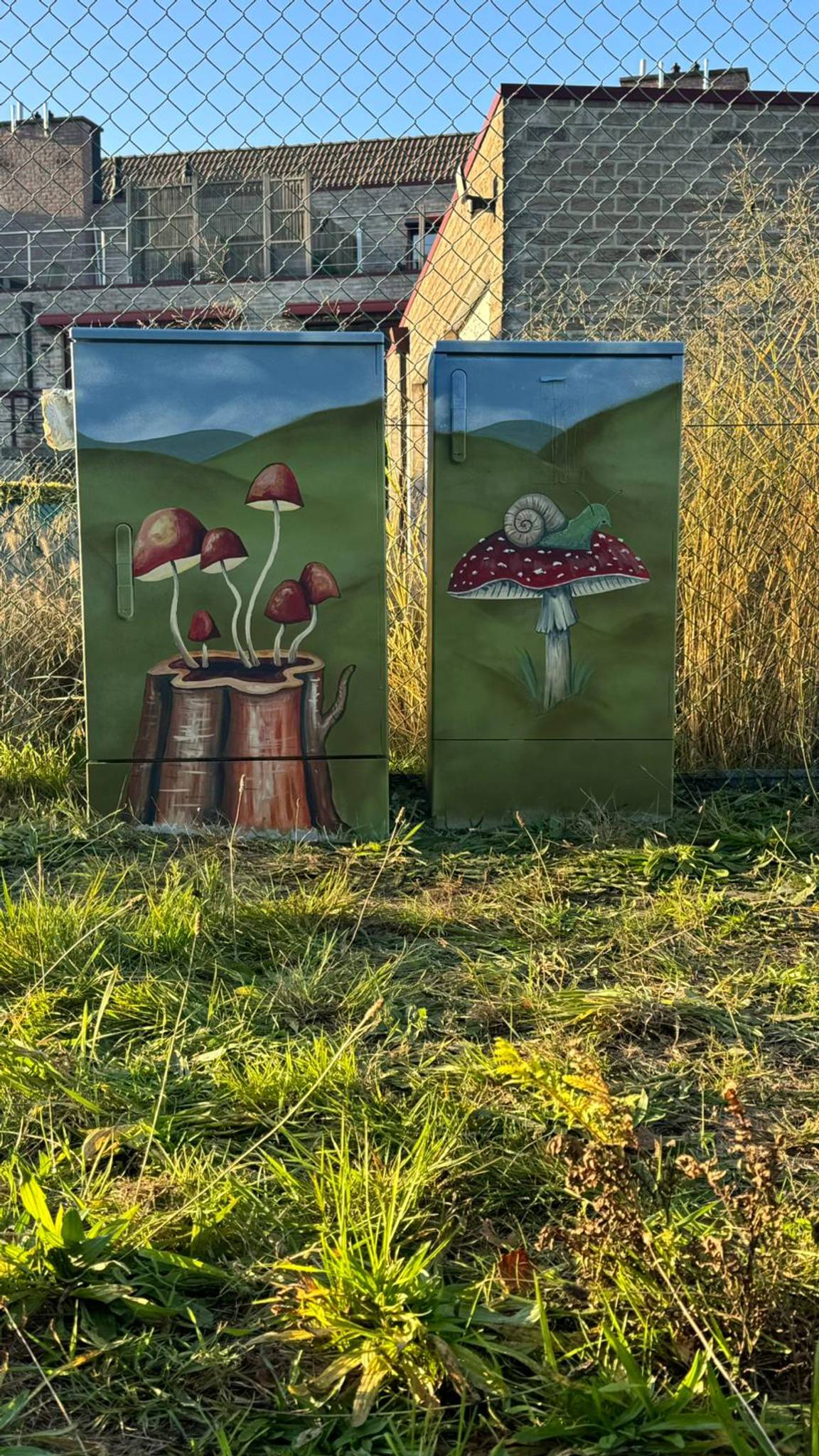 Olesia Panaseiko , Vera Verhoef&mdash;Tour Elentrik - Paddestoelen in de natuur