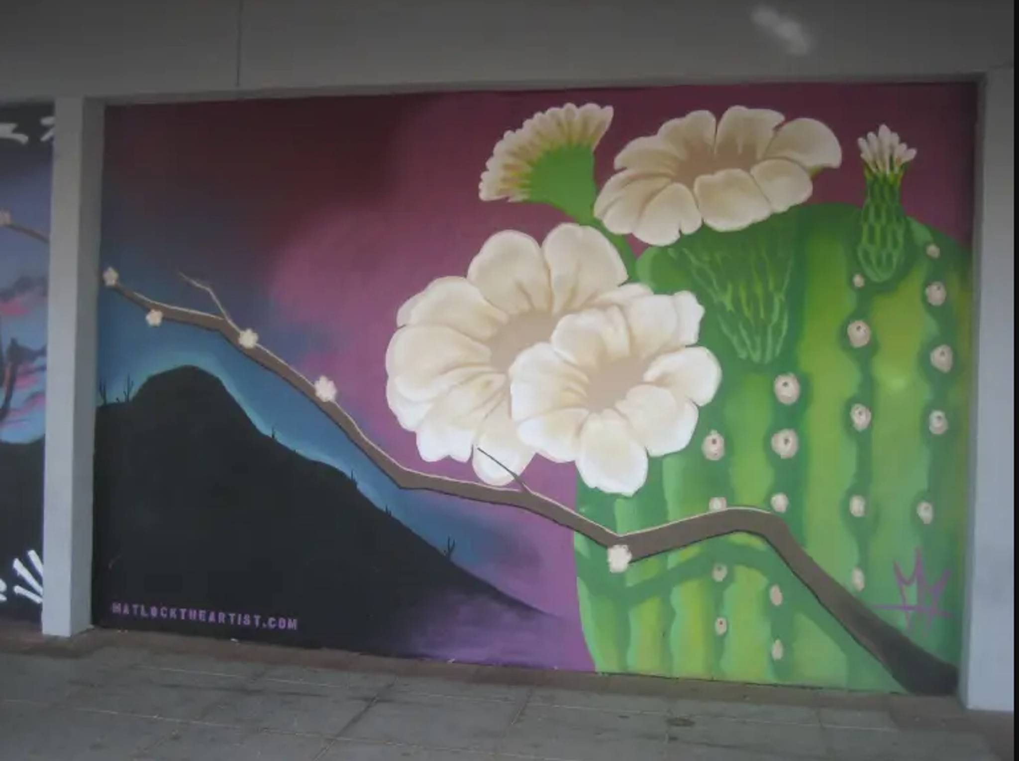 Mark Matlock&mdash;Desert Landscape Mural #5