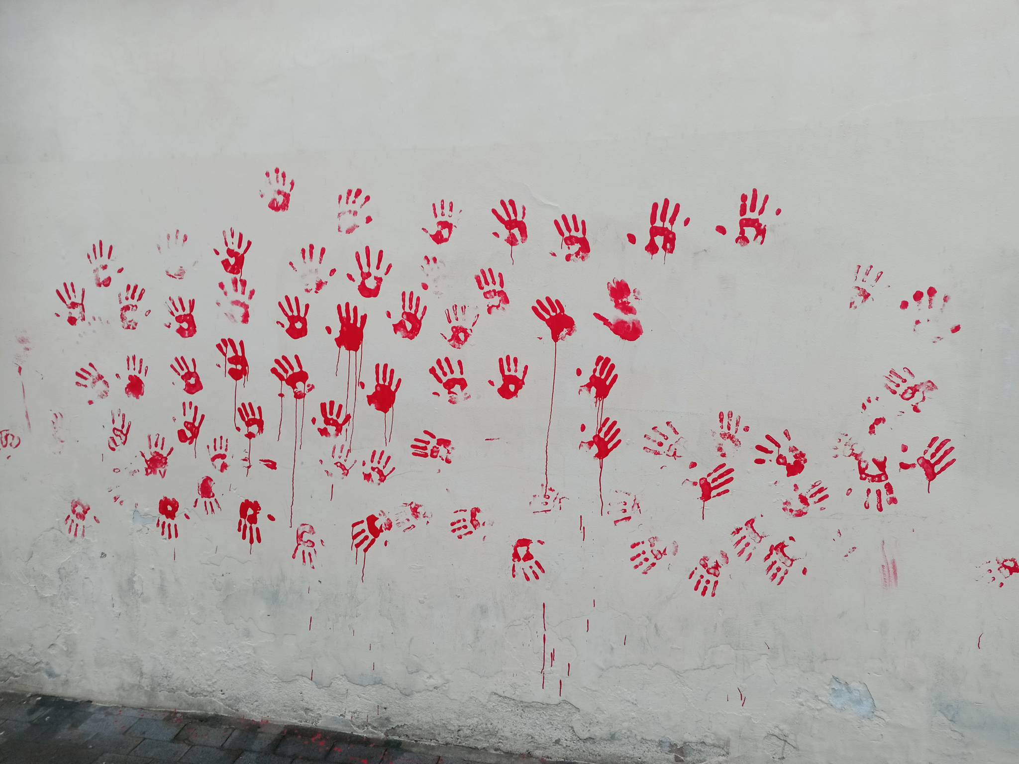 Pisa students&mdash;Bleeding hands