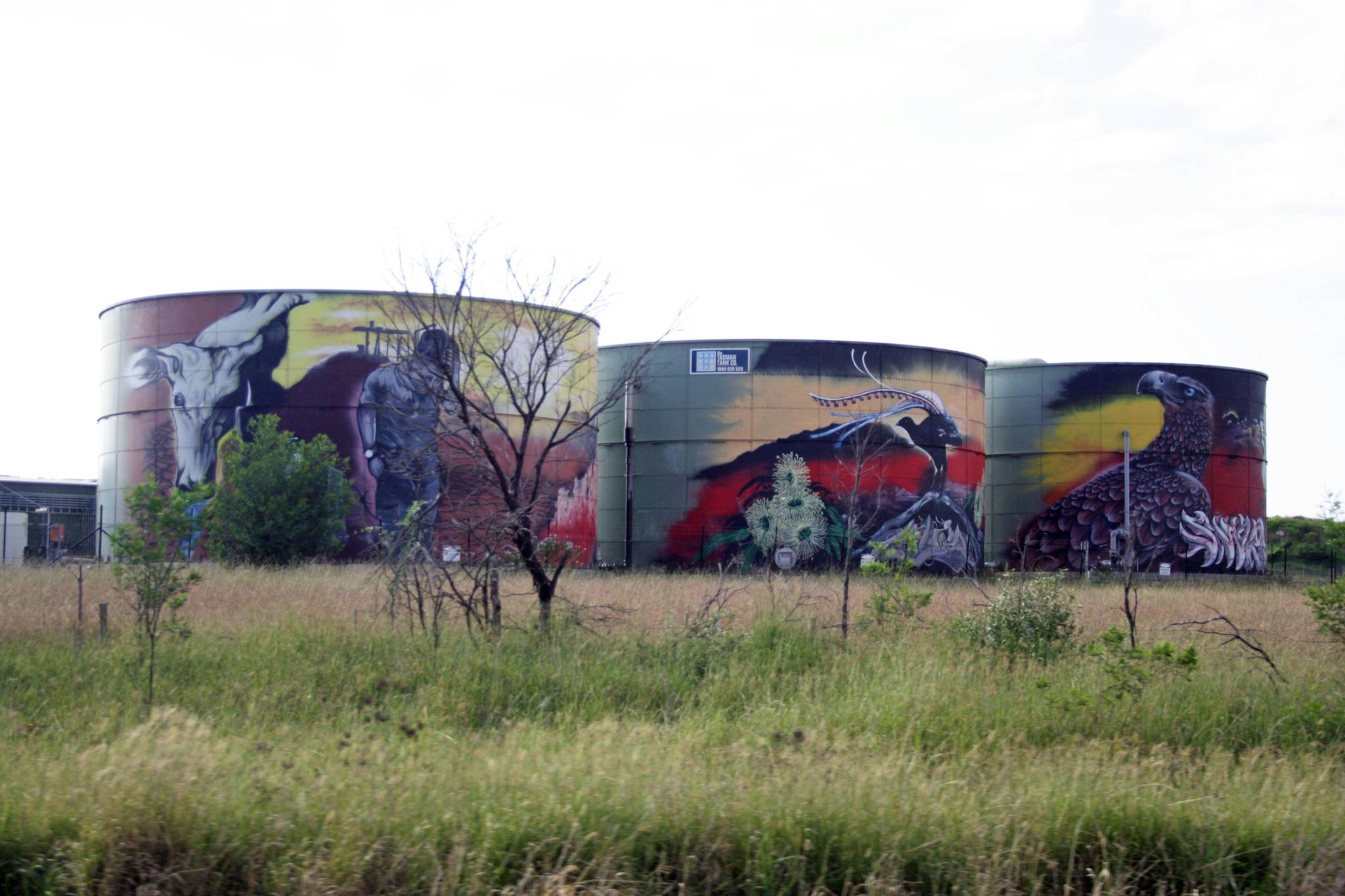 Wilton Water Tank Art by Australian Silo Art Trail, Joe Quilter, Snarl ...