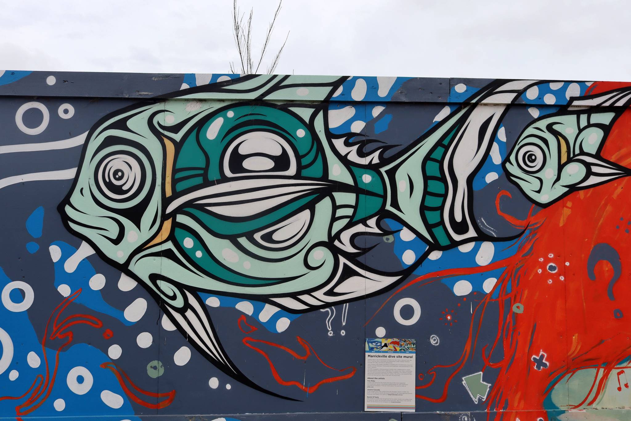 Ears, Joanne Cassady, Phibs&mdash;Marrickville Dive Site Mural