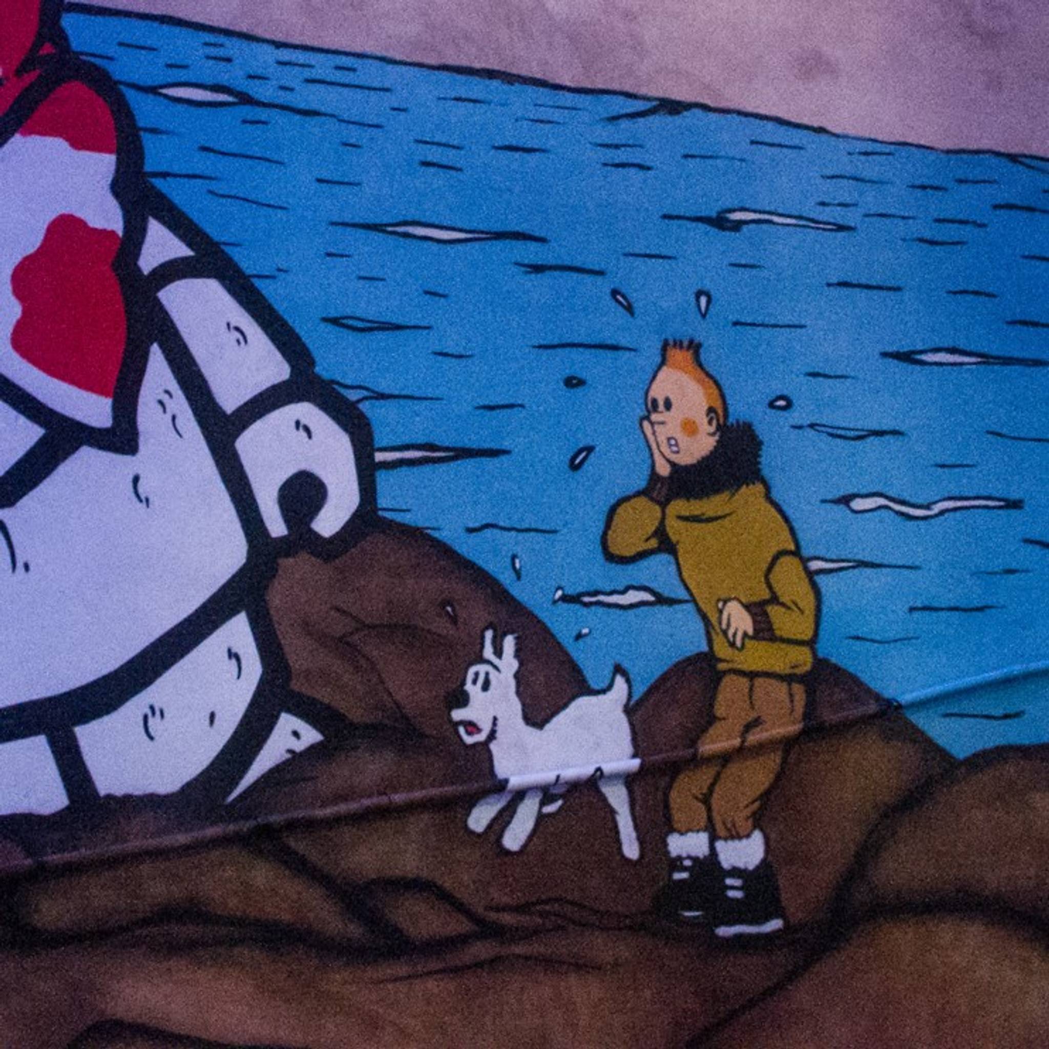 Kid30&mdash;Tintin