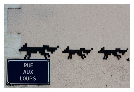 Rue aux Loups 