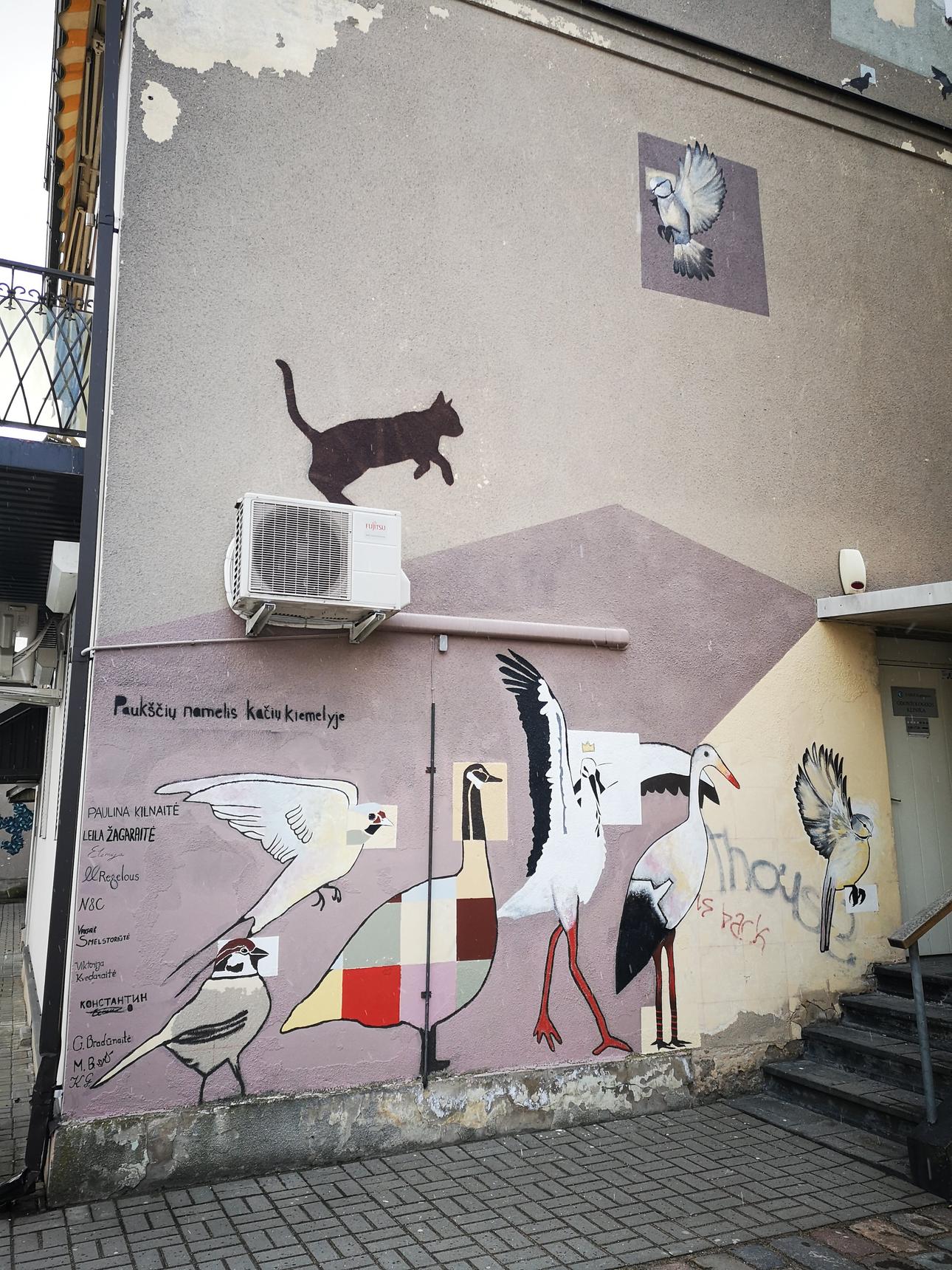 Meg Regelous—Cat Wall