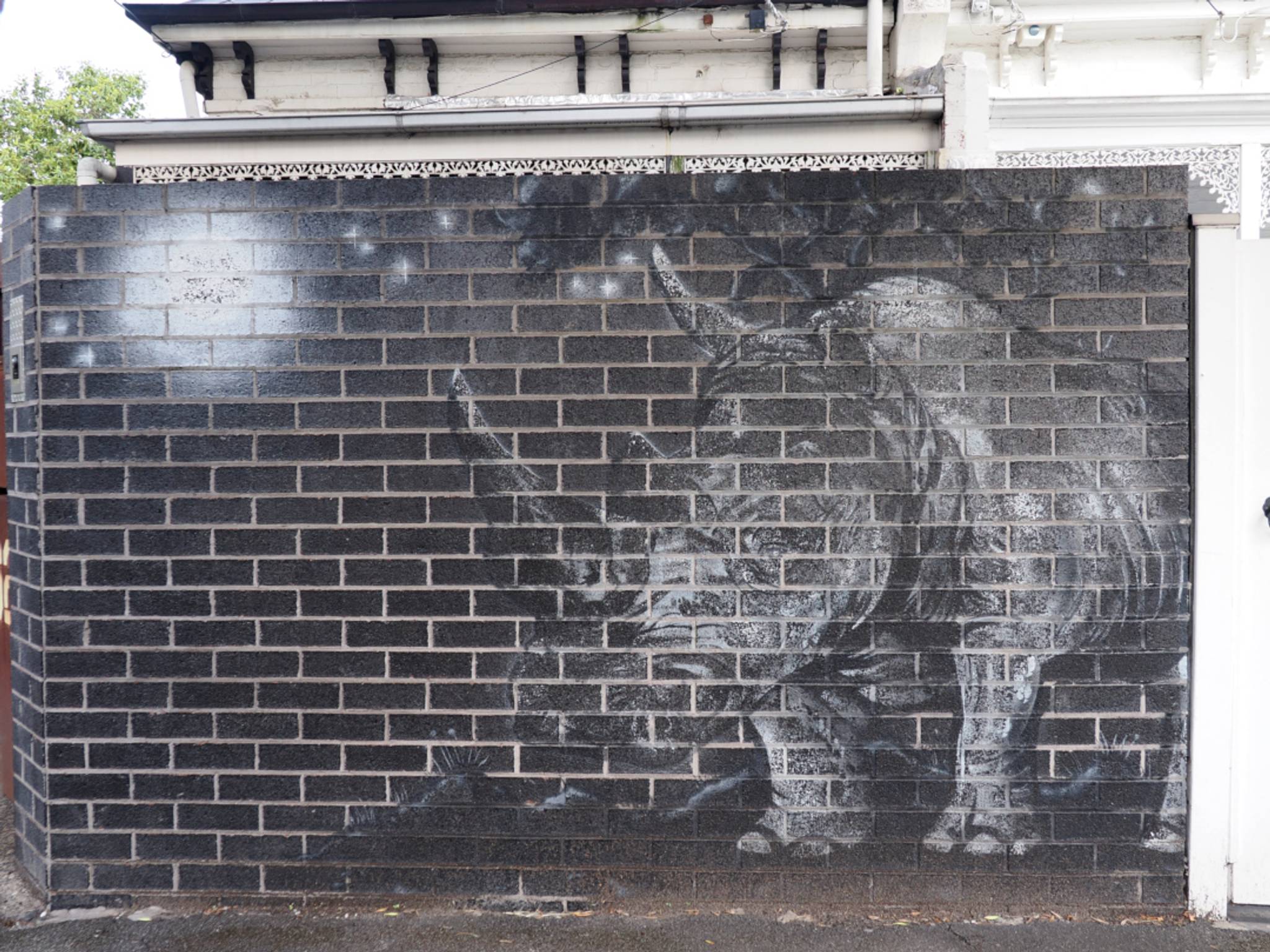 Aerosol One&mdash;Rhinoceros