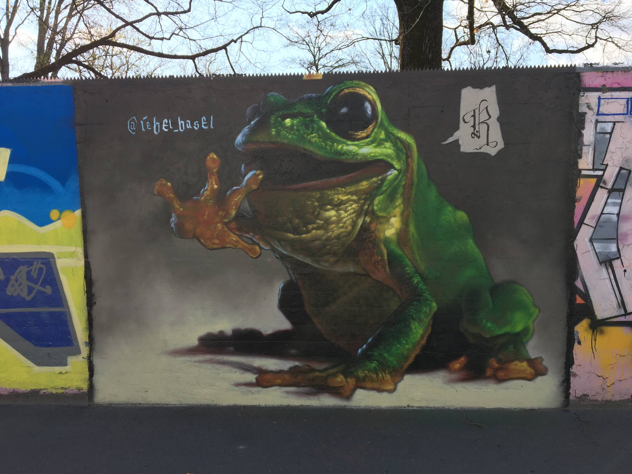 Rebel Basel&mdash;Frog