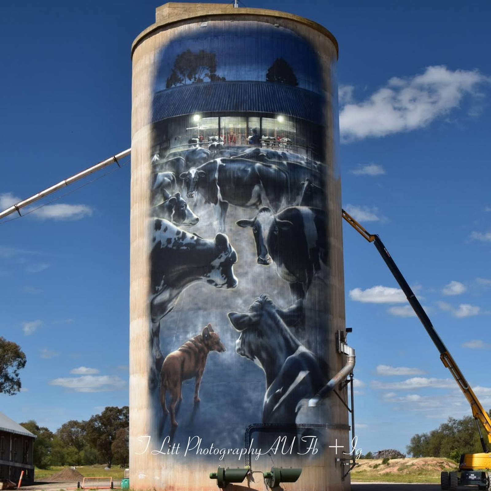 Tim Bowtell—Waaia Silo Art - Silo 1