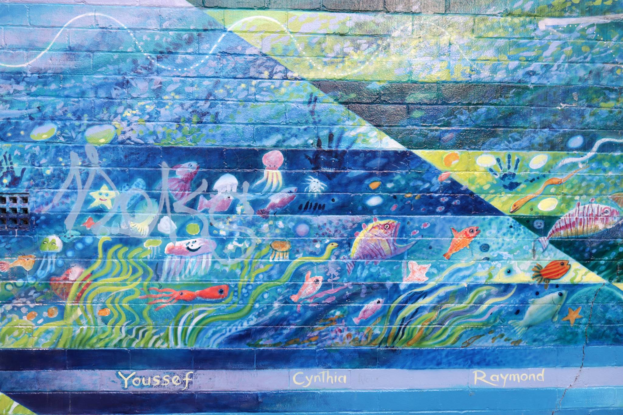 Robin Martin&mdash;Yagoona Station Mural