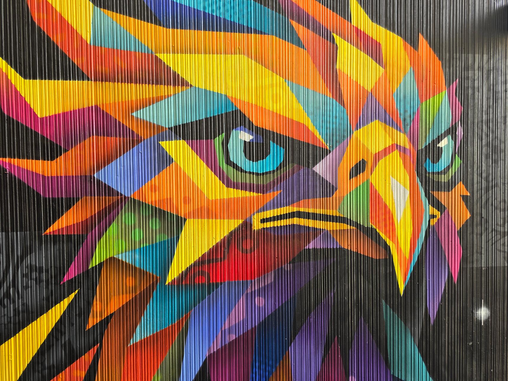 Tim Marsh—The rising Phoenix