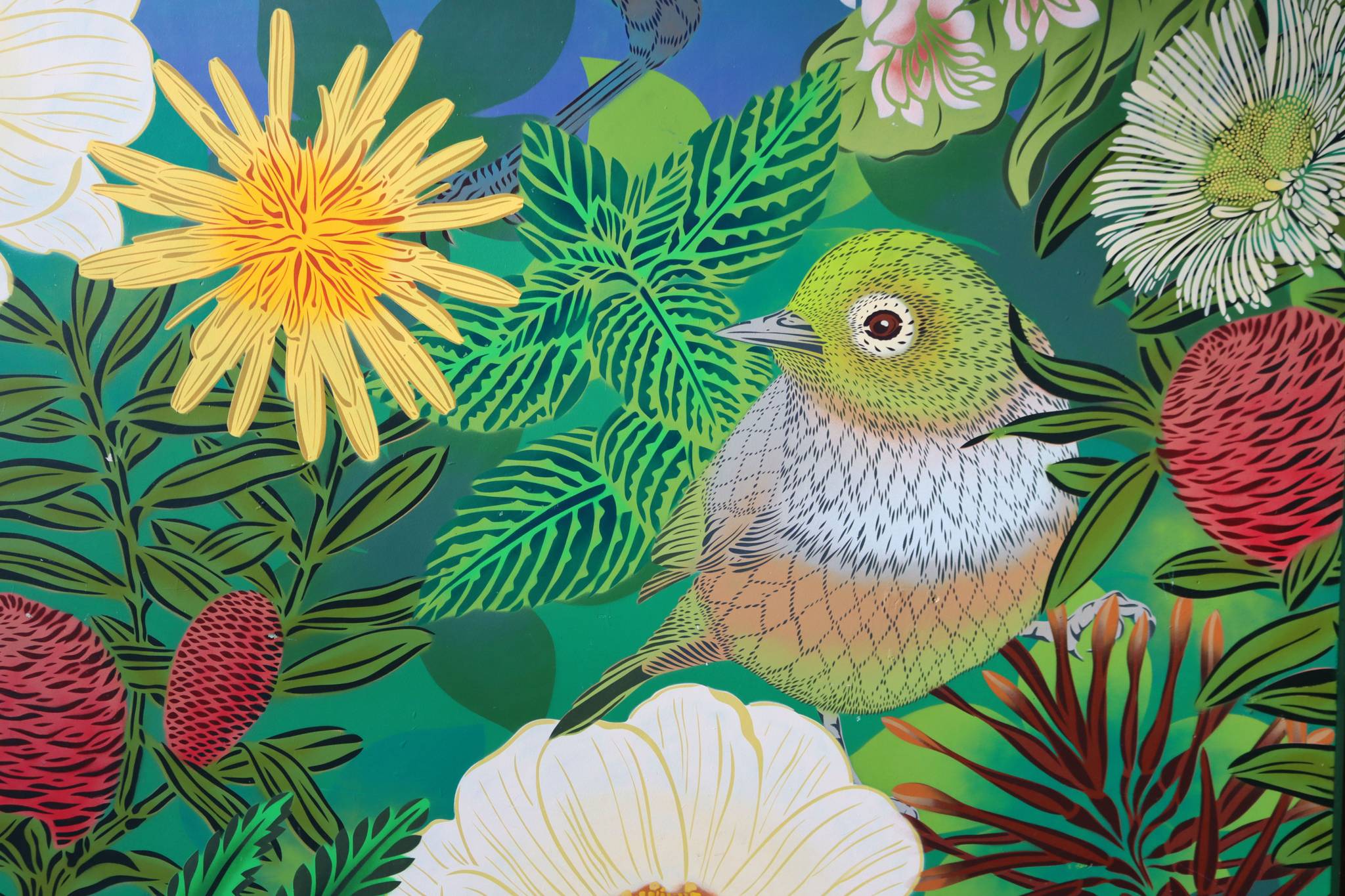 Flox&mdash;Orange-Fronted Parakeet Mural