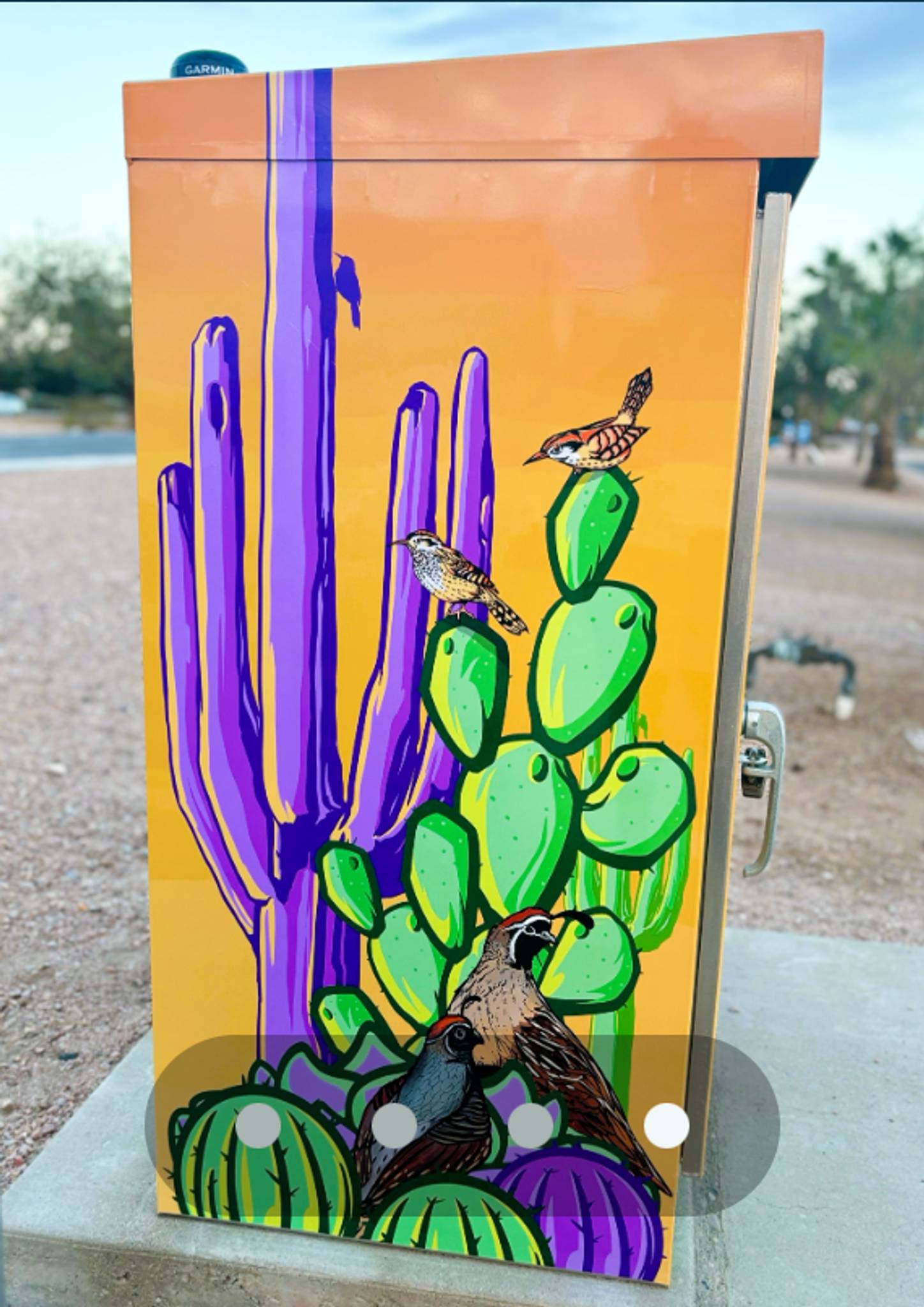 Such Styles&mdash;Sonoran Desert Locals & Such