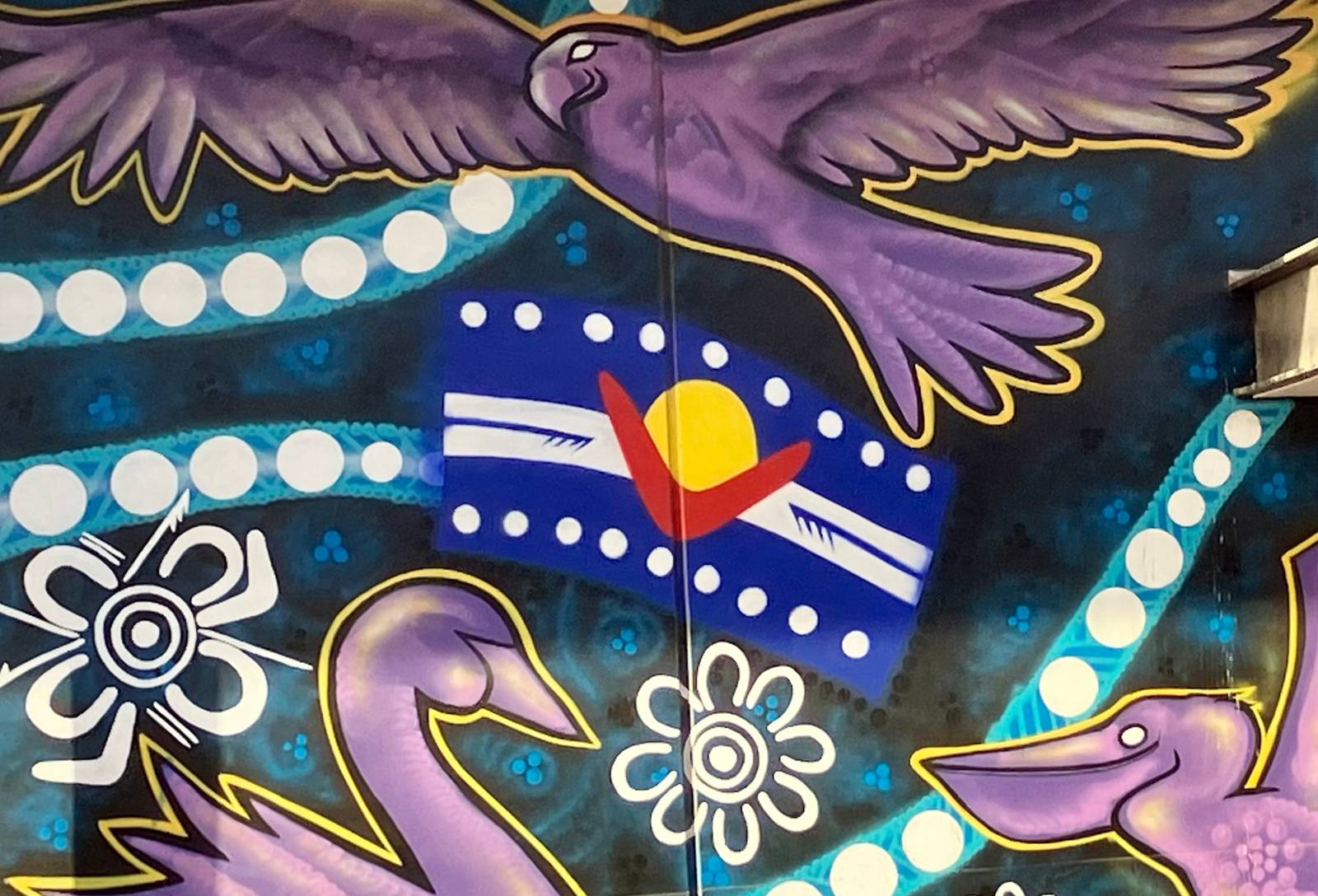 Shane Cook, Ngrakani Harley Hall—Ngarrindjeri Ngatji (Spirit Birds)