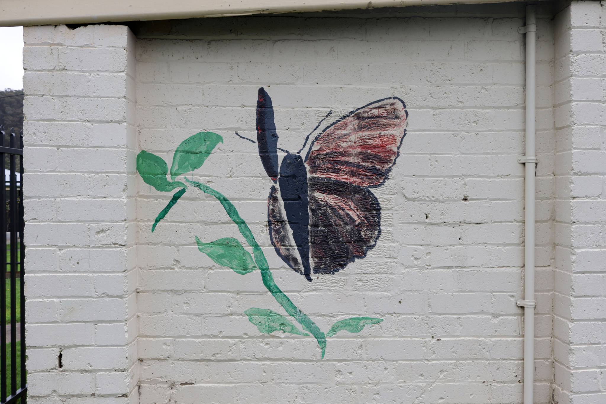 Unknown - Lithgow&mdash;Copperwing Butterfly