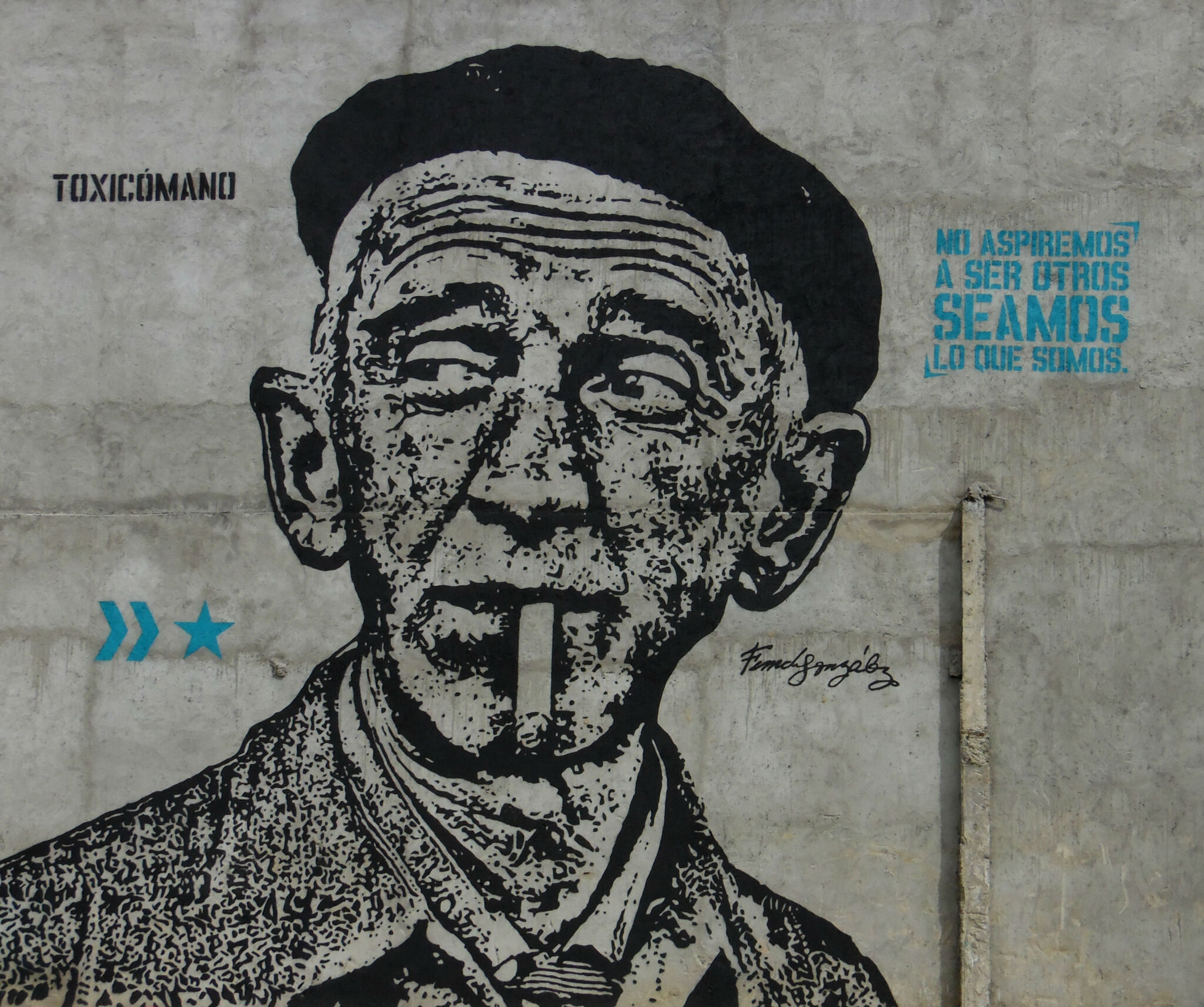 Toxicomano Callejero&mdash;Fernando Gónzalez