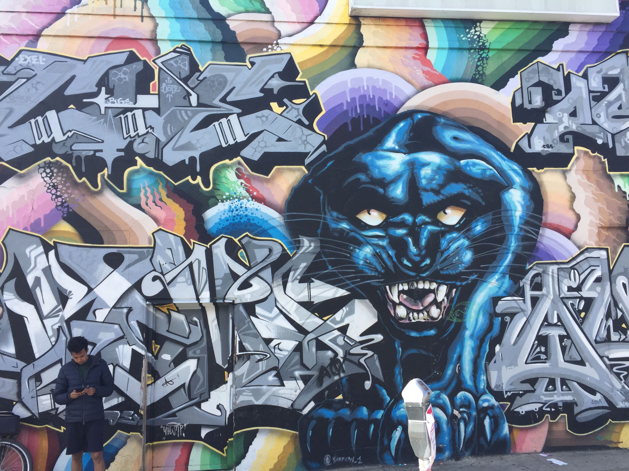 Unknown - San Francisco&mdash;Black panther