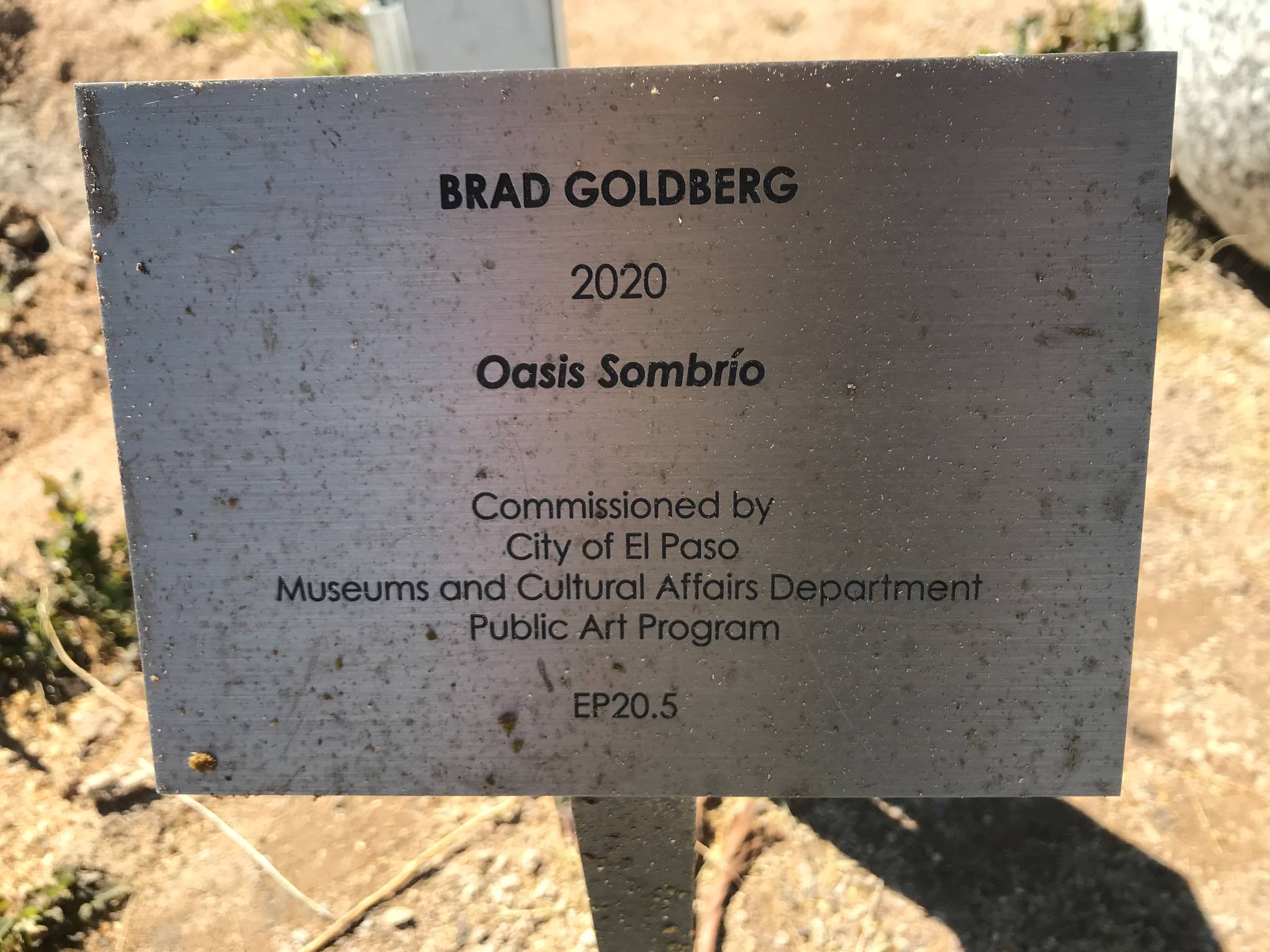 Brad Goldberg&mdash;Oasis Sombrio