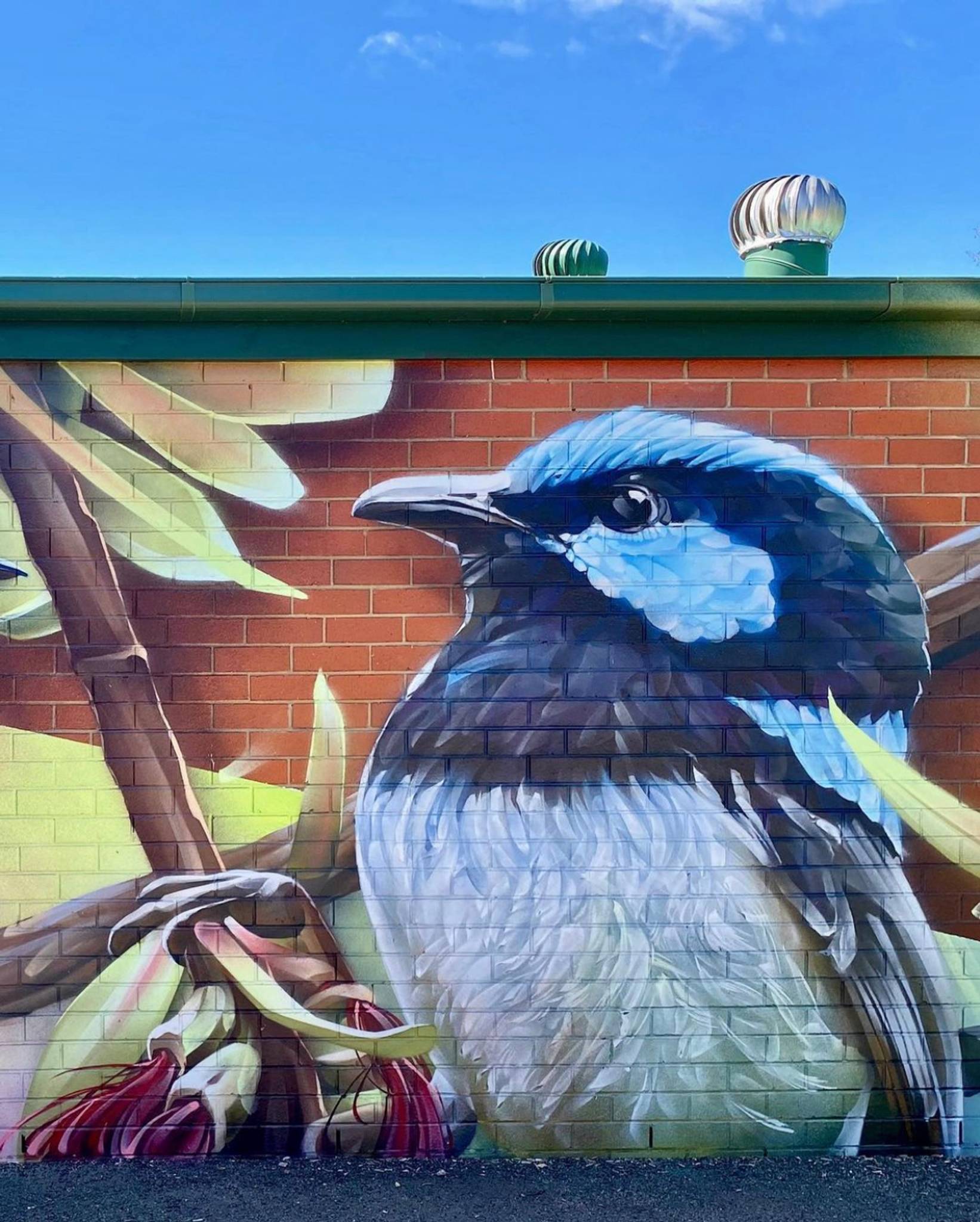 Bryan Itch, Andrew J Bourke&mdash;Scarlet Robin, Superb Fairywren and Golden Whistler