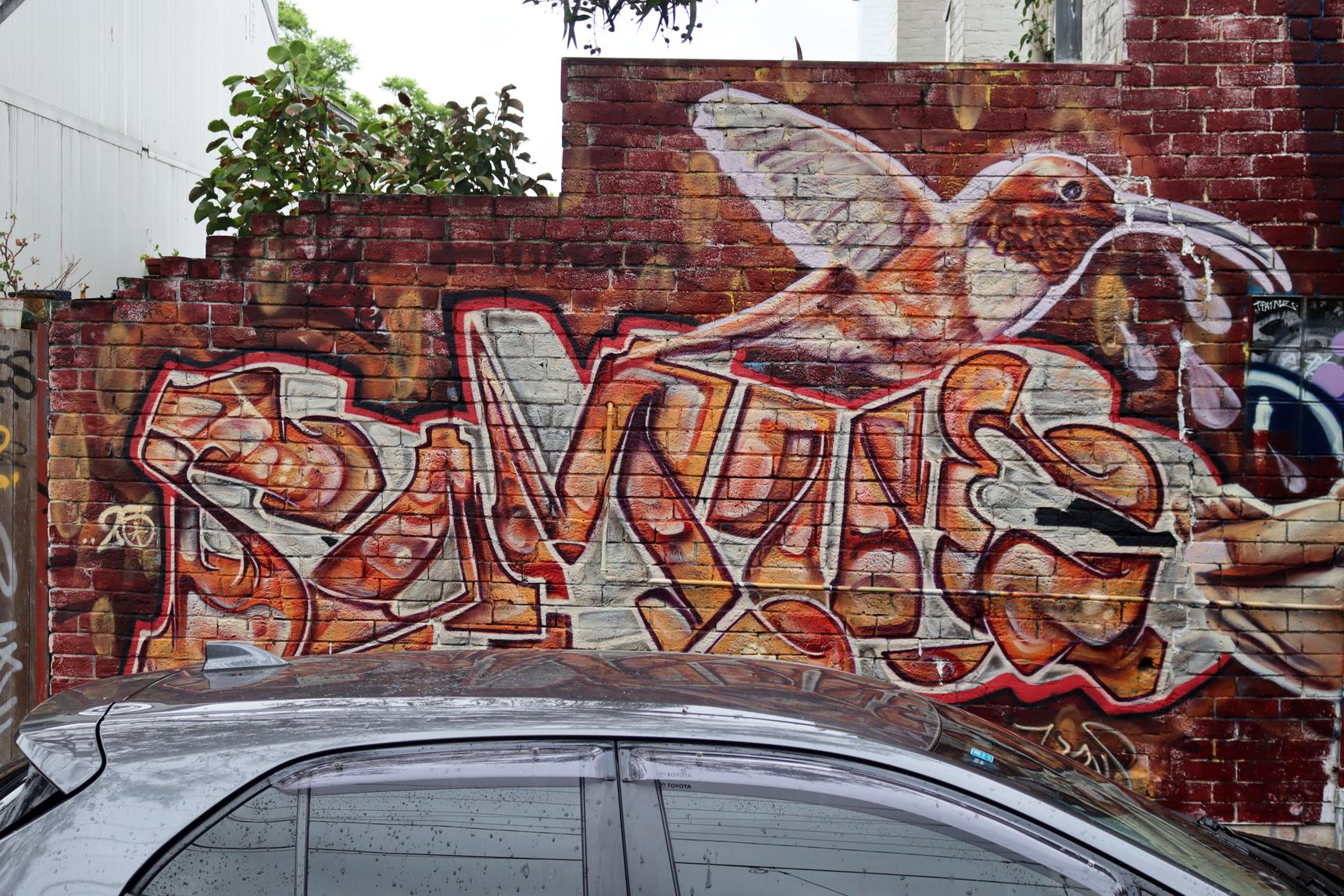 Smackas—Shelter Inside/Out