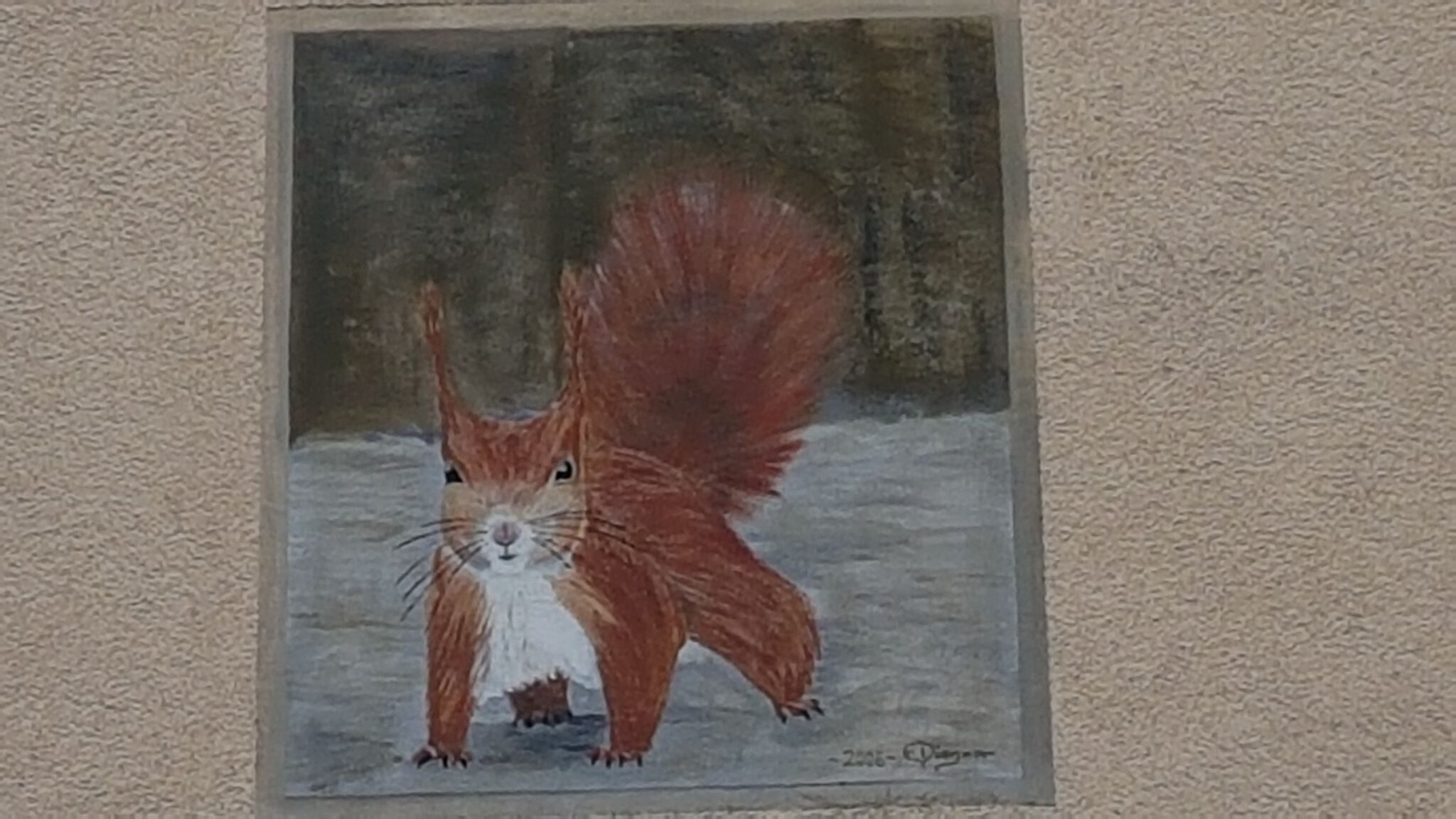 Unknown - Aachen&mdash;Squirrel