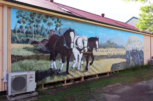 Australian Draught Horses & Braveheart