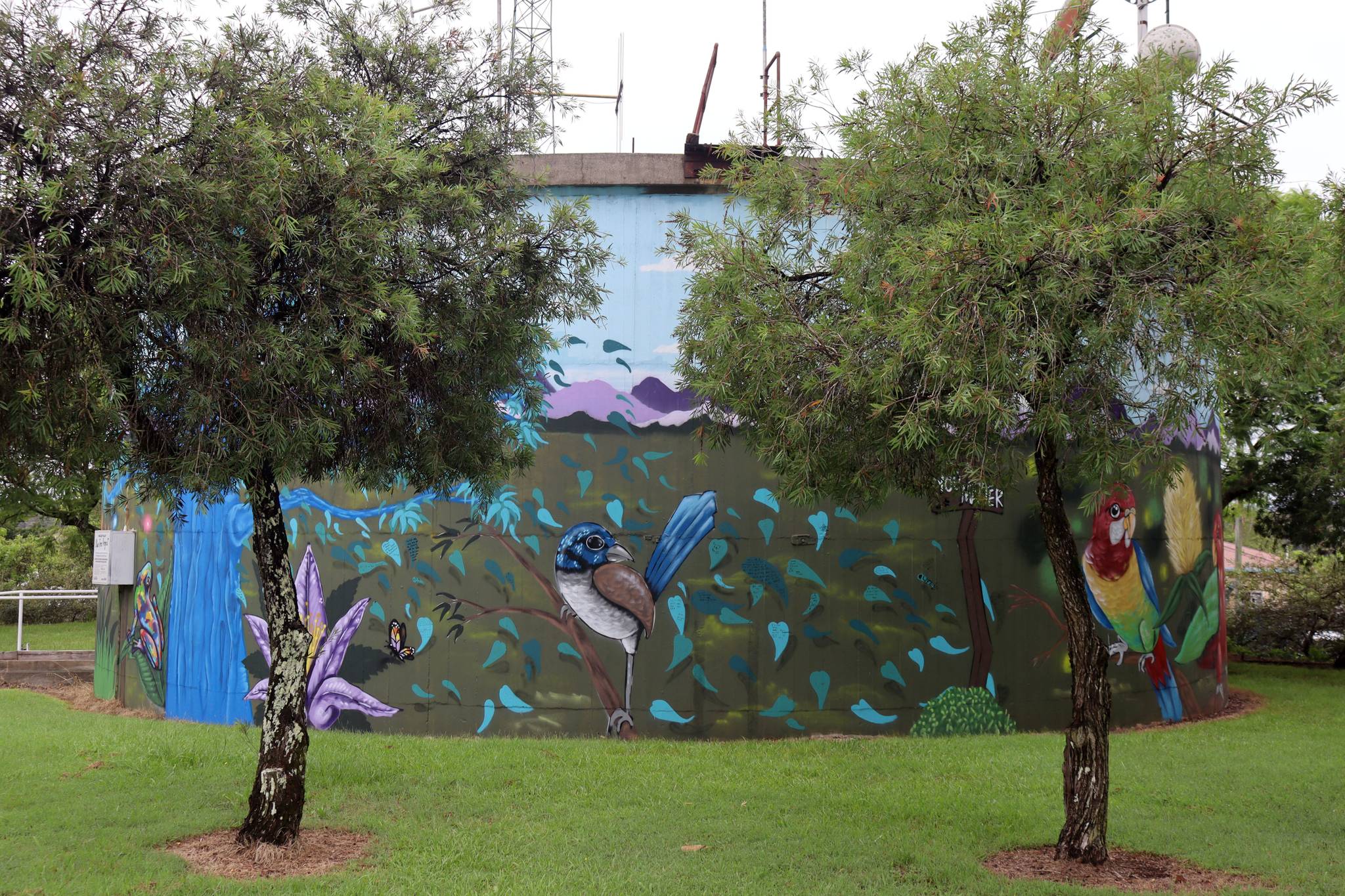 Damon Moroney&mdash;Macleay Valley Blue Tree Project