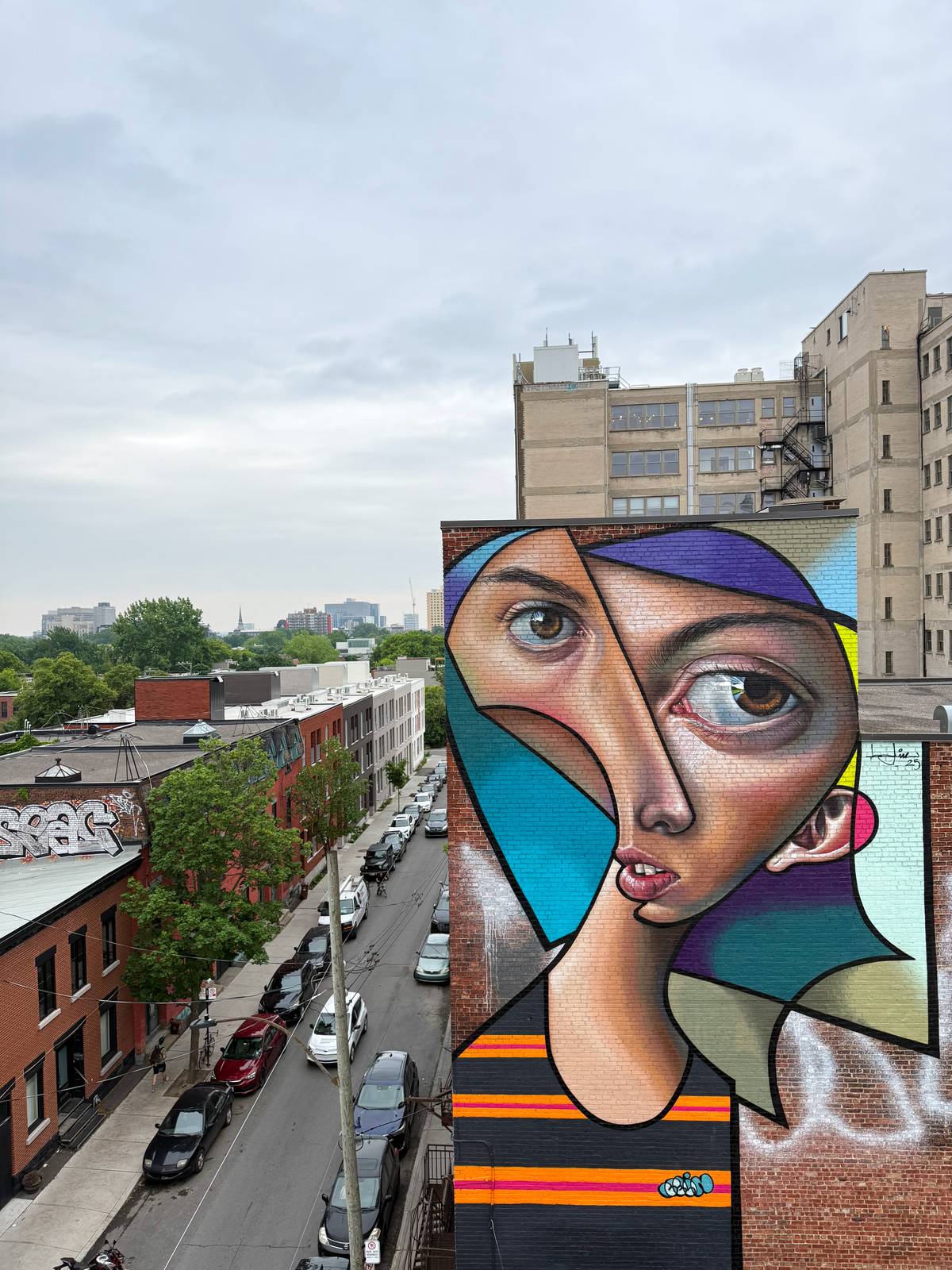 Belin—ELEVATED GAZE