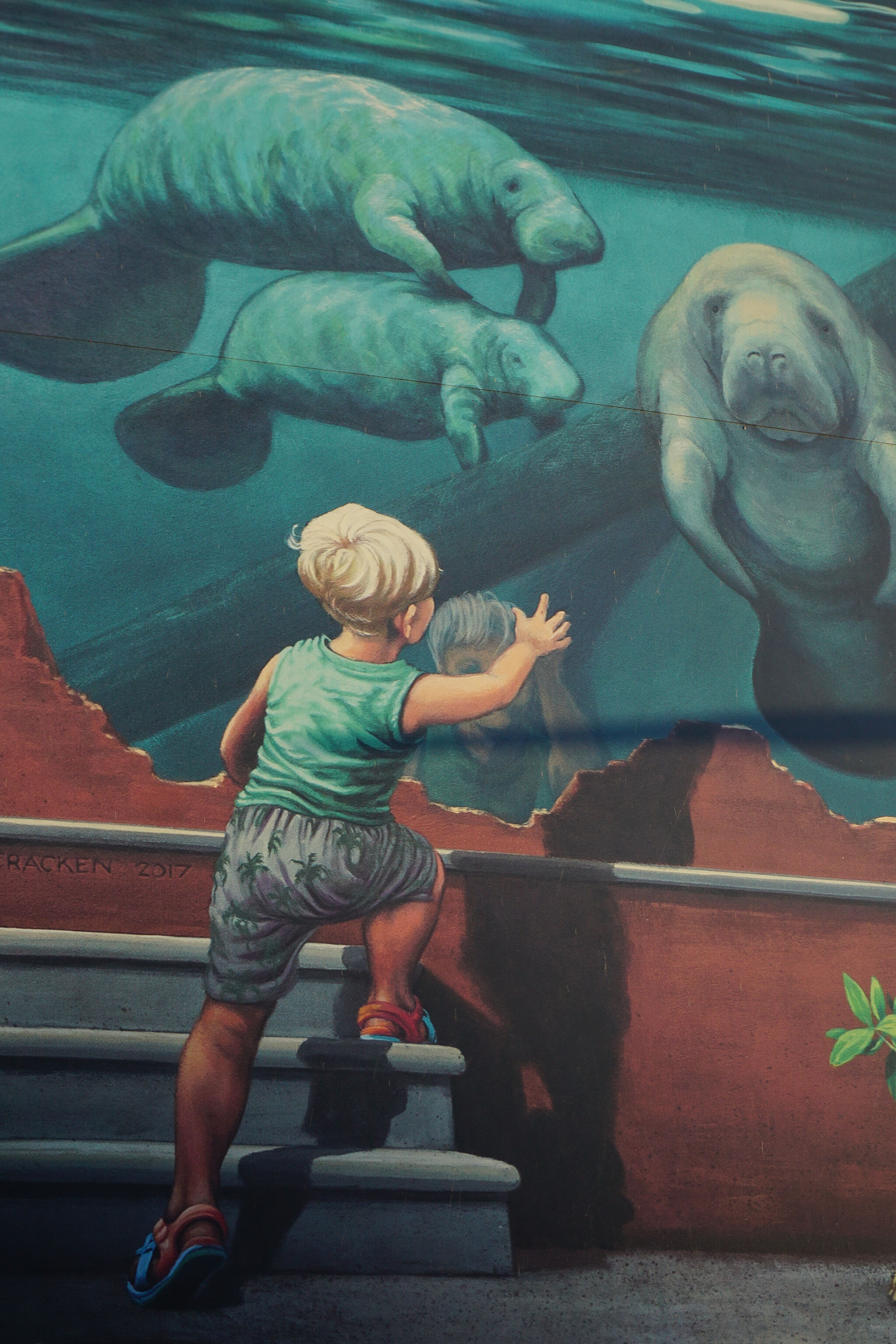 Jenny McCracken&mdash;Manatees at Burgers Zoo