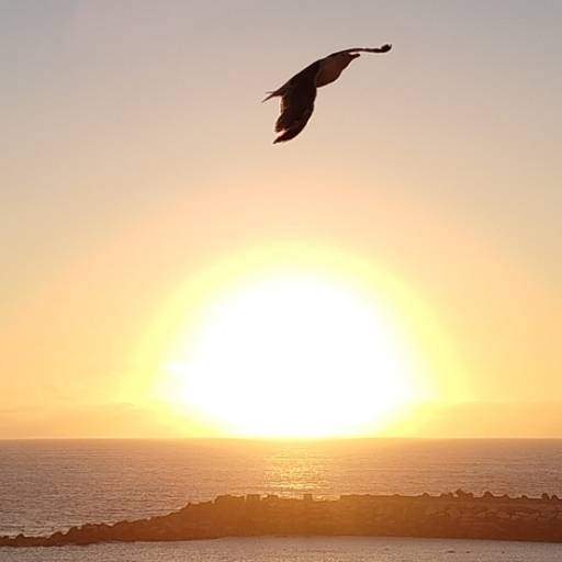 BirdMan