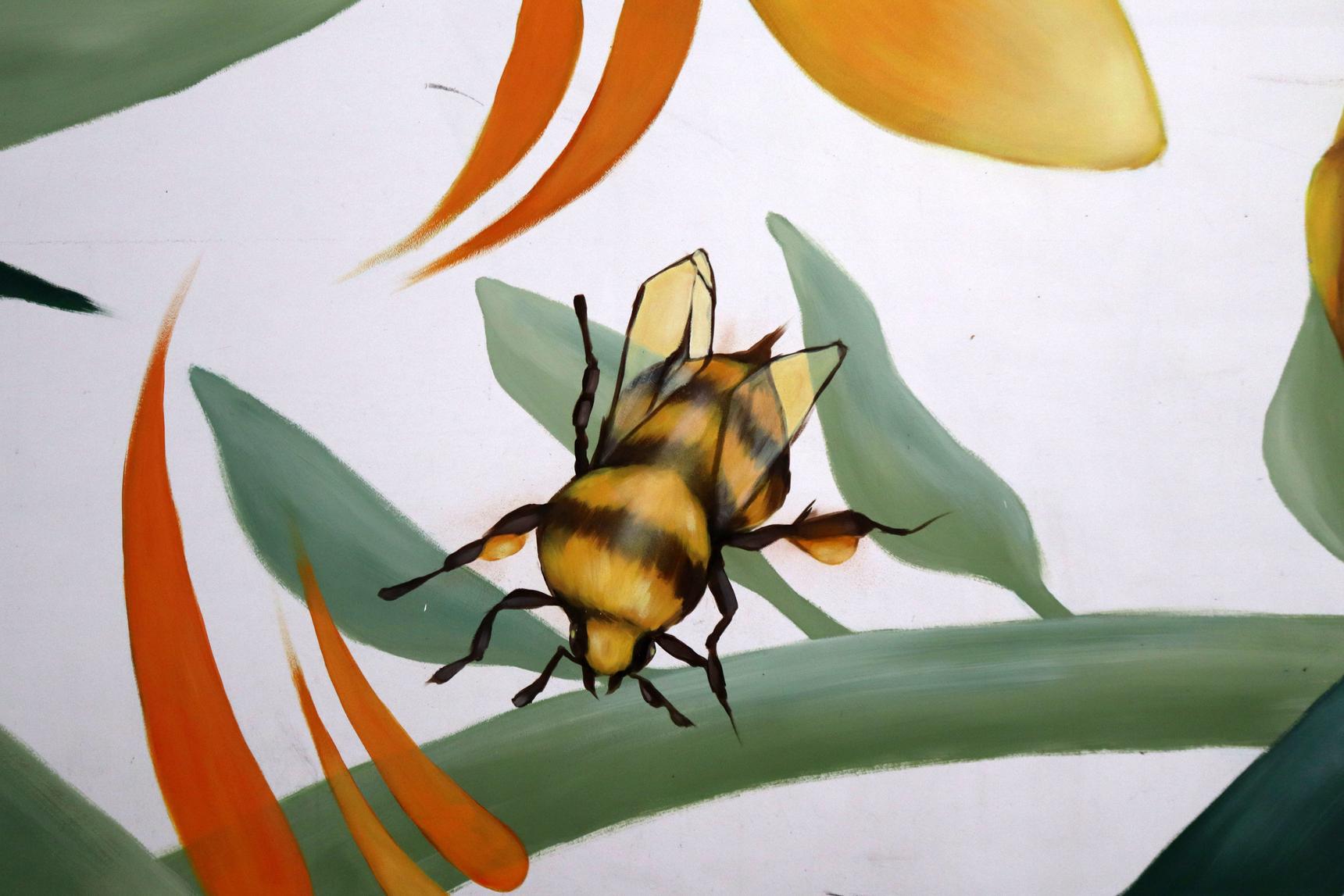 Stynabyna—Bees and Peas