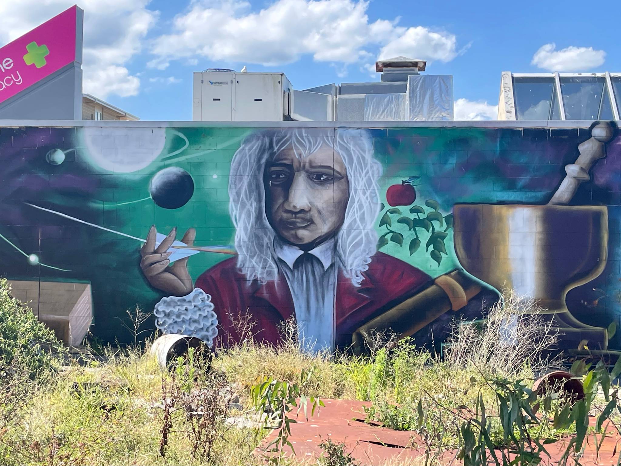 Phillip Island Murals&mdash;Priceline Chemistry Wall