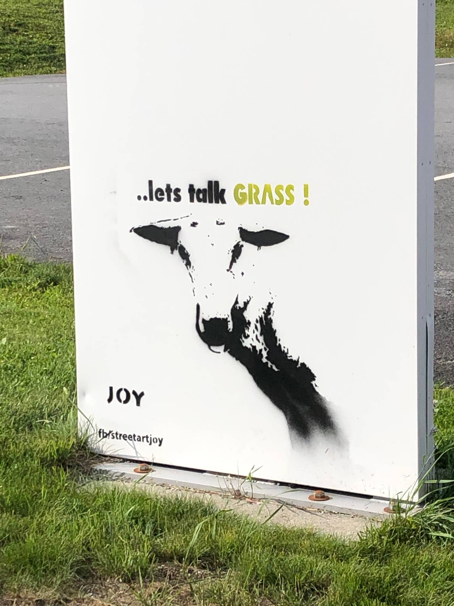 JOY&mdash;Lets talk GRASS!