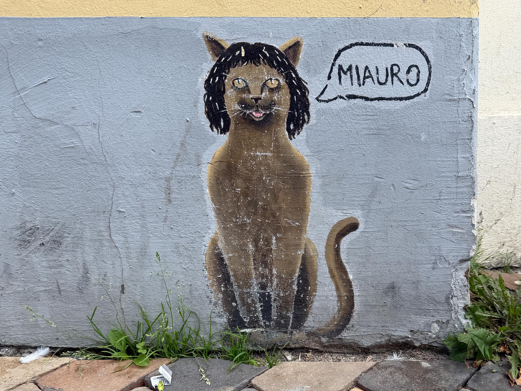 N.M.—Miauro